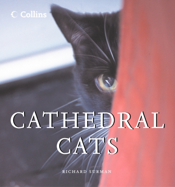 Cathedral Cats, EPUB eBook