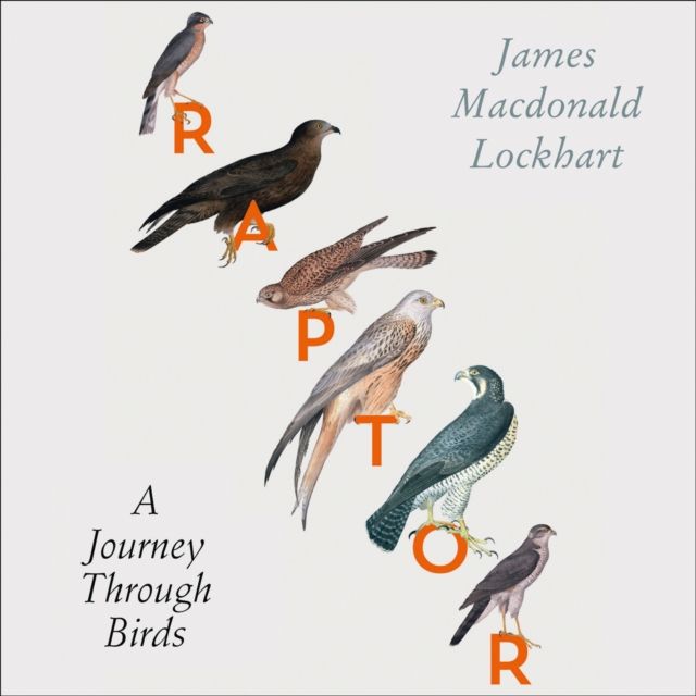 Raptor : A Journey Through Birds, eAudiobook MP3 eaudioBook