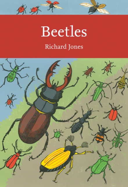 Beetles, Paperback / softback Book