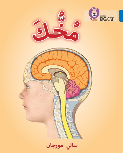 Your Brain : Level 16, Paperback / softback Book