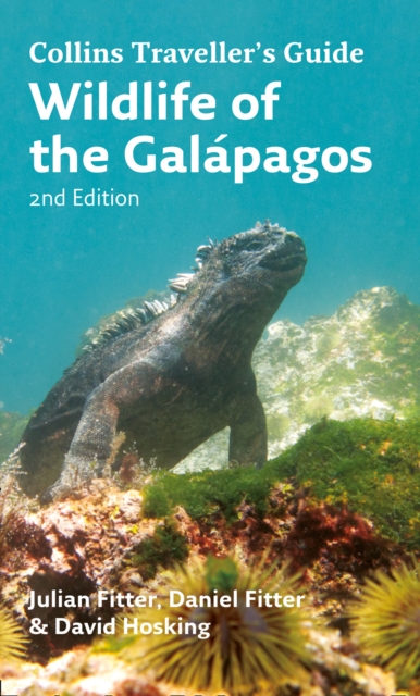 Wildlife of the Galapagos, Paperback / softback Book