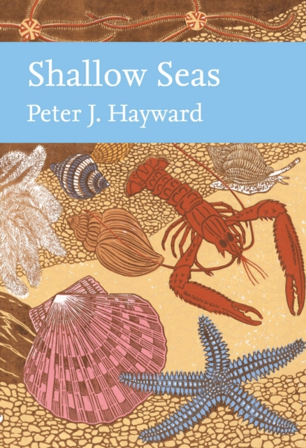 Shallow Seas, EPUB eBook