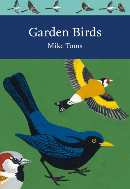 Garden Birds, Paperback / softback Book