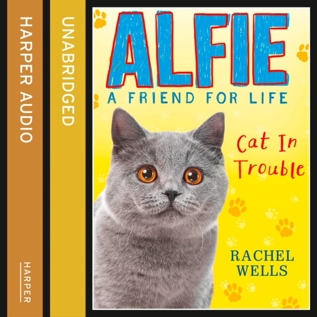 Alfie Cat In Trouble, eAudiobook MP3 eaudioBook