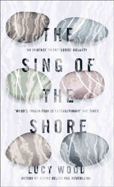 The Sing of the Shore, EPUB eBook