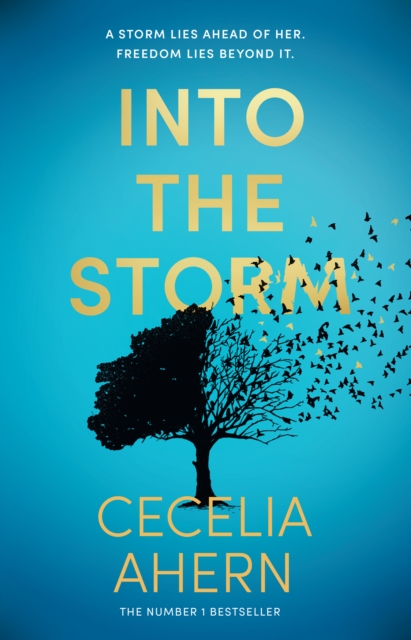 Into the Storm, Hardback Book
