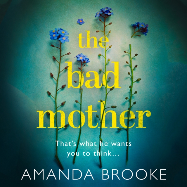 The Bad Mother, eAudiobook MP3 eaudioBook