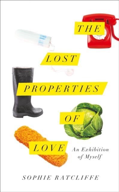 The Lost Properties of Love, Hardback Book