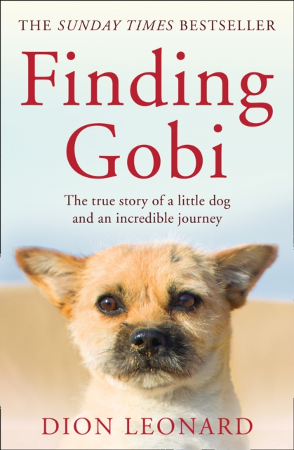 Finding Gobi (Main edition) : The True Story of a Little Dog and an Incredible Journey, Paperback / softback Book