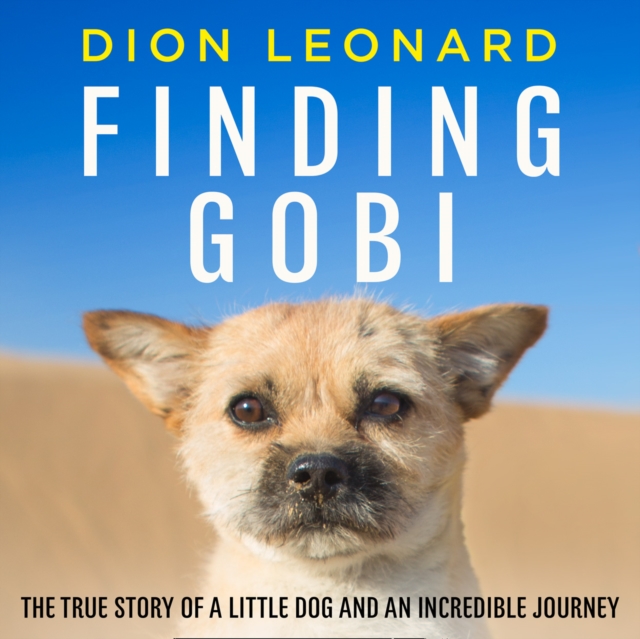 Finding Gobi (Main edition) : The True Story of a Little Dog and an Incredible Journey, eAudiobook MP3 eaudioBook