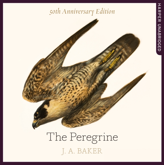 The Peregrine: 50th Anniversary Edition : Afterword by Robert Macfarlane, eAudiobook MP3 eaudioBook