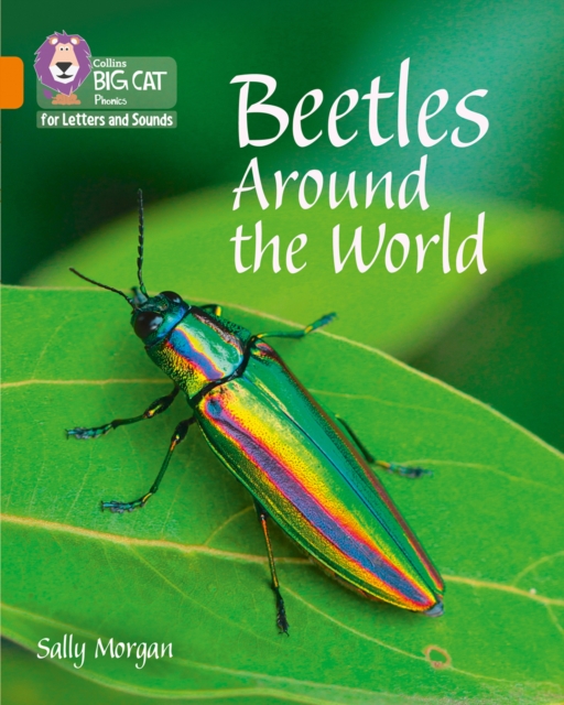 Beetles Around the World : Band 06/Orange, Paperback / softback Book