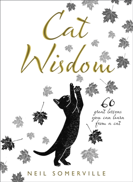 Cat Wisdom : 60 Great Lessons You Can Learn from a Cat, Hardback Book