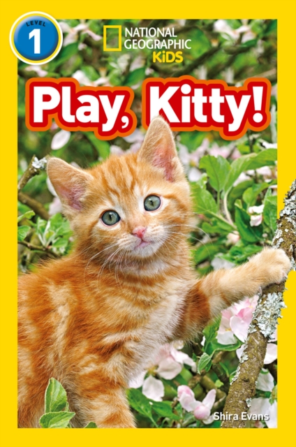 Play, Kitty! : Level 1, Paperback / softback Book