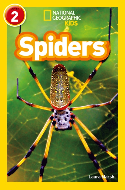 Spiders : Level 2, Paperback / softback Book