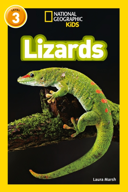 Lizards : Level 3, Paperback / softback Book