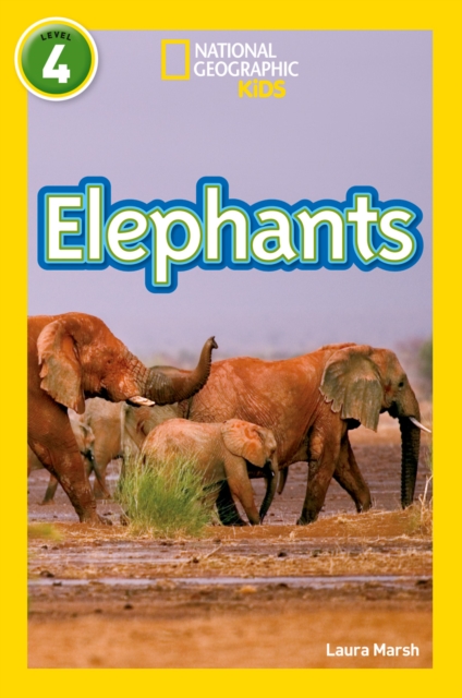 Elephants : Level 4, Paperback / softback Book