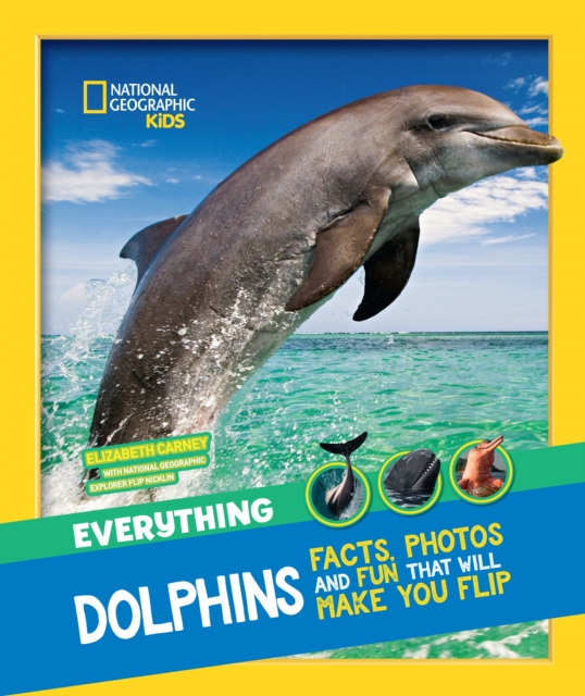 Everything: Dolphins, Paperback / softback Book