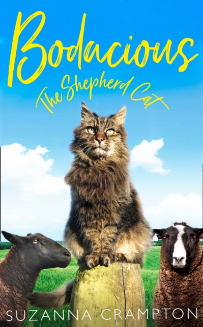 Bodacious: The Shepherd Cat, Hardback Book