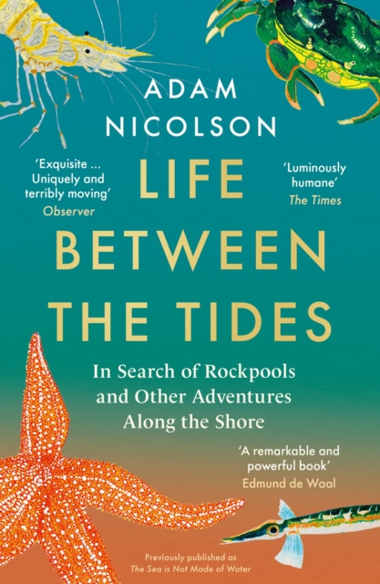 Life Between the Tides : In Search of Rockpools and Other Adventures Along the Shore, Paperback / softback Book