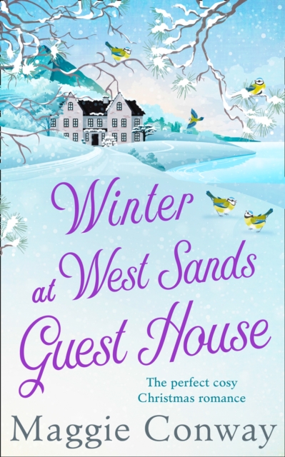 Winter at West Sands Guest House, Paperback / softback Book