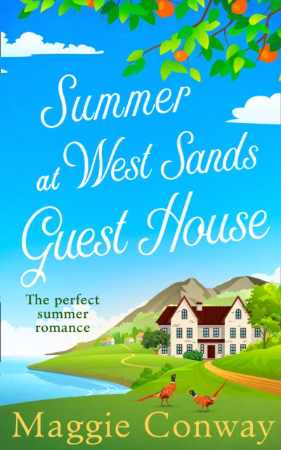 Summer at West Sands Guest House, Paperback / softback Book