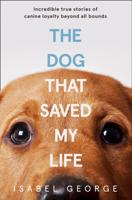 The Dog that Saved My Life, Paperback Book