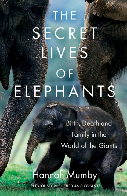 The Secret Lives of Elephants : Birth, Death and Family in the World of the Giants, EPUB eBook