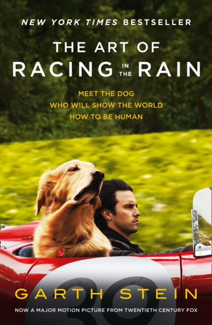 The Art of Racing in the Rain, Paperback / softback Book