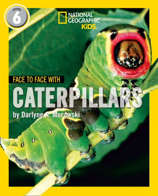 Face to Face with Caterpillars : Level 6, Paperback / softback Book