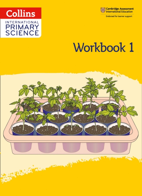 International Primary Science Workbook: Stage 1, Paperback / softback Book