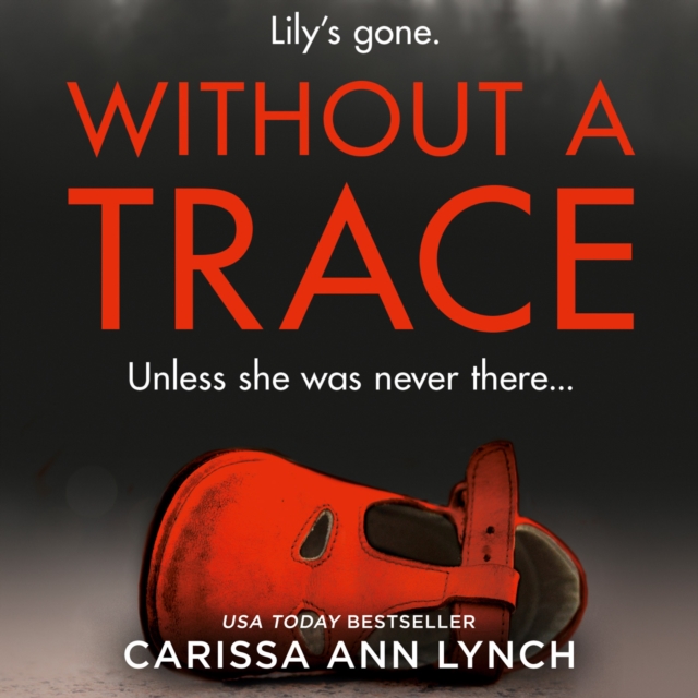 Without a Trace, eAudiobook MP3 eaudioBook
