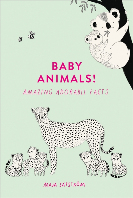 Baby Animals! : Amazing Adorable Facts, Hardback Book