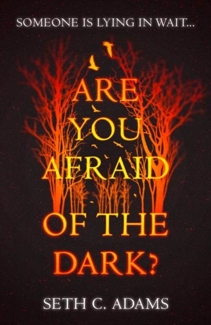 Are You Afraid of the Dark?, Paperback Book