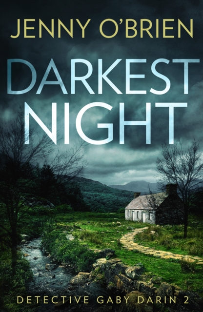 Darkest Night, Paperback / softback Book