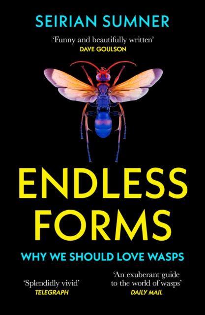 Endless Forms : Why We Should Love Wasps, Paperback / softback Book