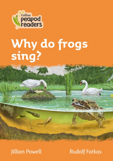 Why do frogs sing? : Level 4, Paperback / softback Book