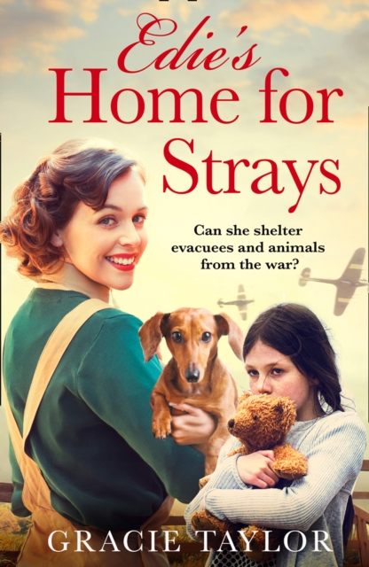 Edie's Home for Strays, EPUB eBook