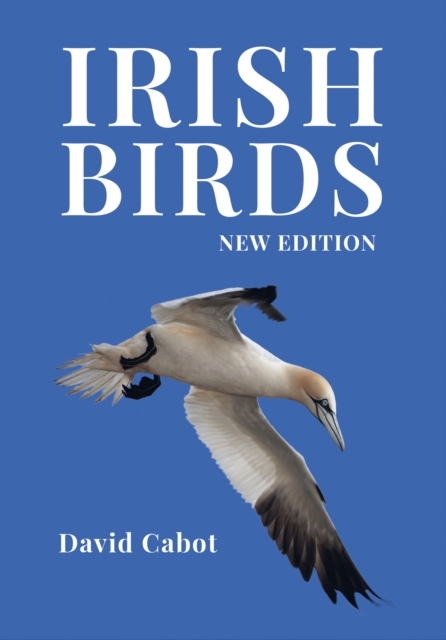 Irish Birds, EPUB eBook