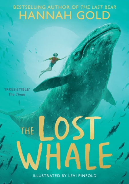 The Lost Whale, Paperback / softback Book