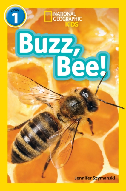Buzz, Bee! : Level 1, Paperback / softback Book