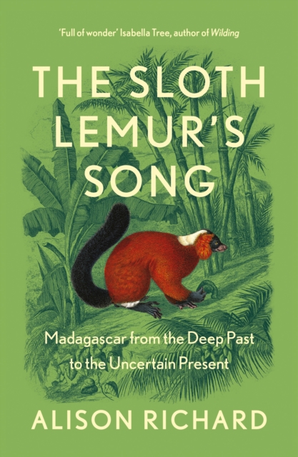 The Sloth Lemur’s Song : Madagascar from the Deep Past to the Uncertain Present, Paperback / softback Book