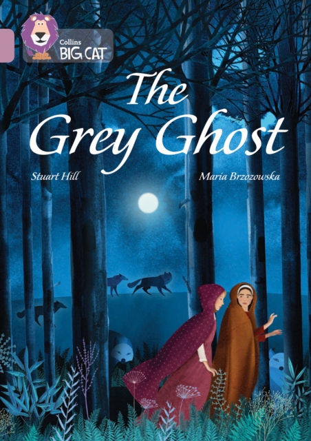 The Grey Ghost : Band 18/Pearl, Paperback / softback Book