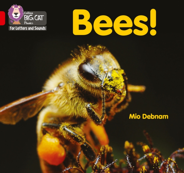 Bees! : Band 02b/Red B, Paperback / softback Book