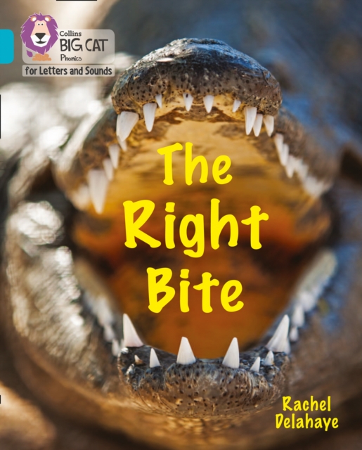 The Right Bite : Band 07/Turquoise, Paperback / softback Book