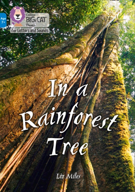 In a Rainforest Tree : Band 04/Blue, Paperback / softback Book