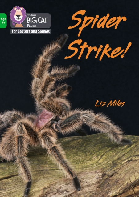 Spider Strike! : Band 05/Green, Paperback / softback Book