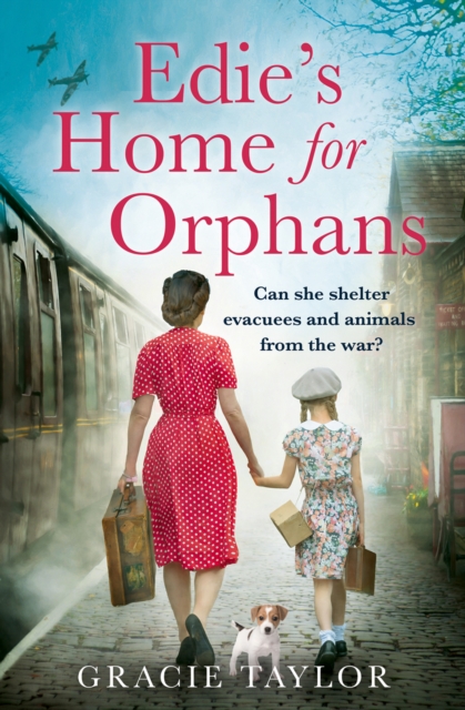 Edie's Home for Orphans, EPUB eBook