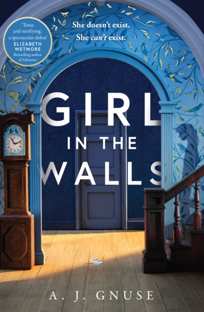 Girl in the Walls, Paperback Book