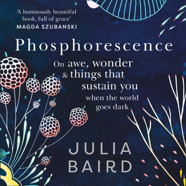 Phosphorescence : On Awe, Wonder & Things That Sustain You When the World Goes Dark, eAudiobook MP3 eaudioBook